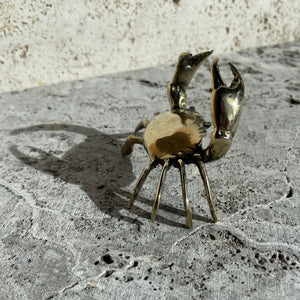 Mr Pinchy Brass Crab - x-small - Mr Pinchy & Co