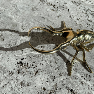 Nipper Brass Beetle - Mr Pinchy & Co